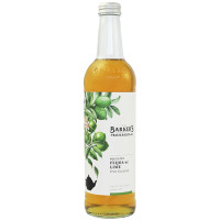 Barkers Professional Fiji Feijoa with Lime Fruit Tea Syrup