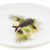 Silikomart Fiji fish mould b