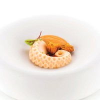 silikomart fiji polpo mould